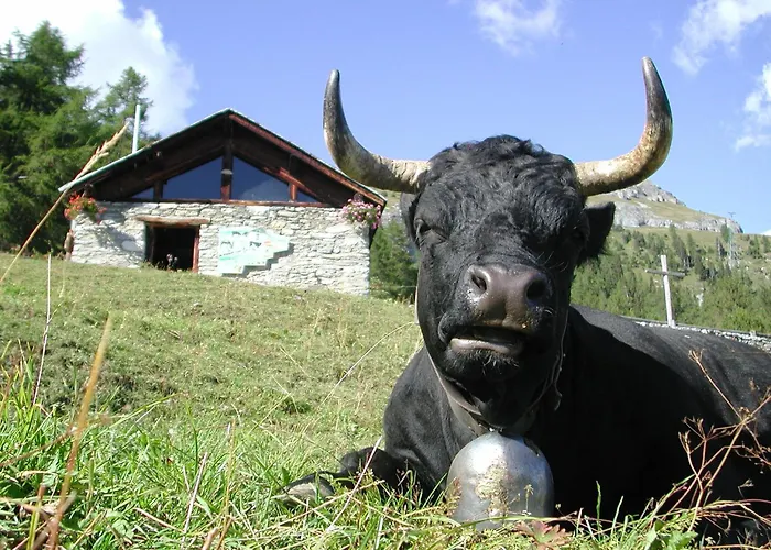 Guarda Golf & Residences Hotel 5*