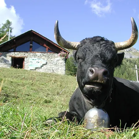 Guarda Golf & Residences Hotel 5*